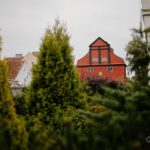 POK_8186